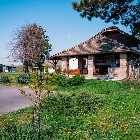 Sun City Vízisport Paradicsom Hódmezővásárhely Exteriér fotografie